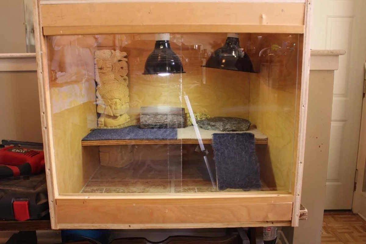 DIY Bearded Dragon Enclosure: Step-by-Step Guide To Building A Habitat