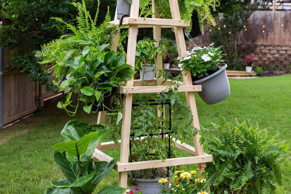 DIY: Build A Trellis For Your Garden