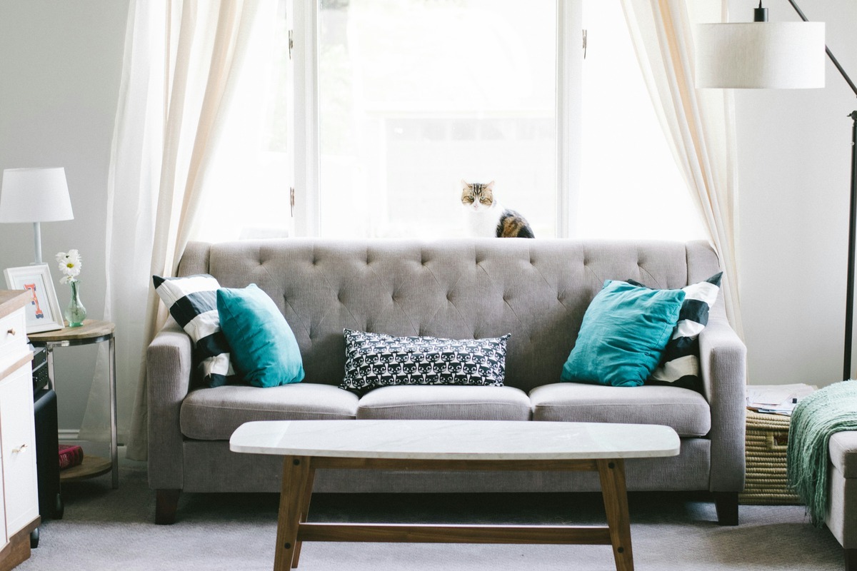 DIY Couch: How To Build Your Own Stylish And Affordable Sofa