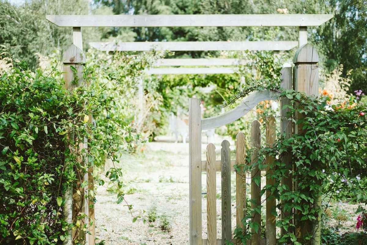 DIY Deck Gate: Step-by-Step Guide To Building A Secure And Stylish Entrance