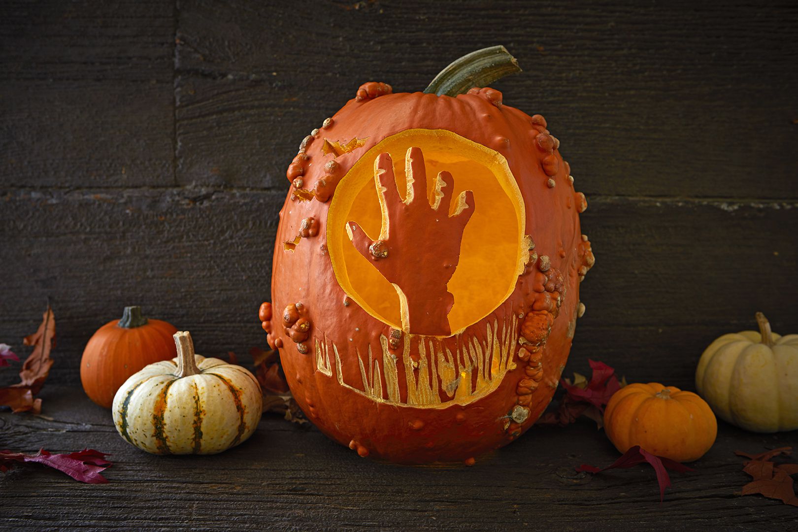 DIY Stenciled Pumpkin: A Fun Home Improvement Project For Fall