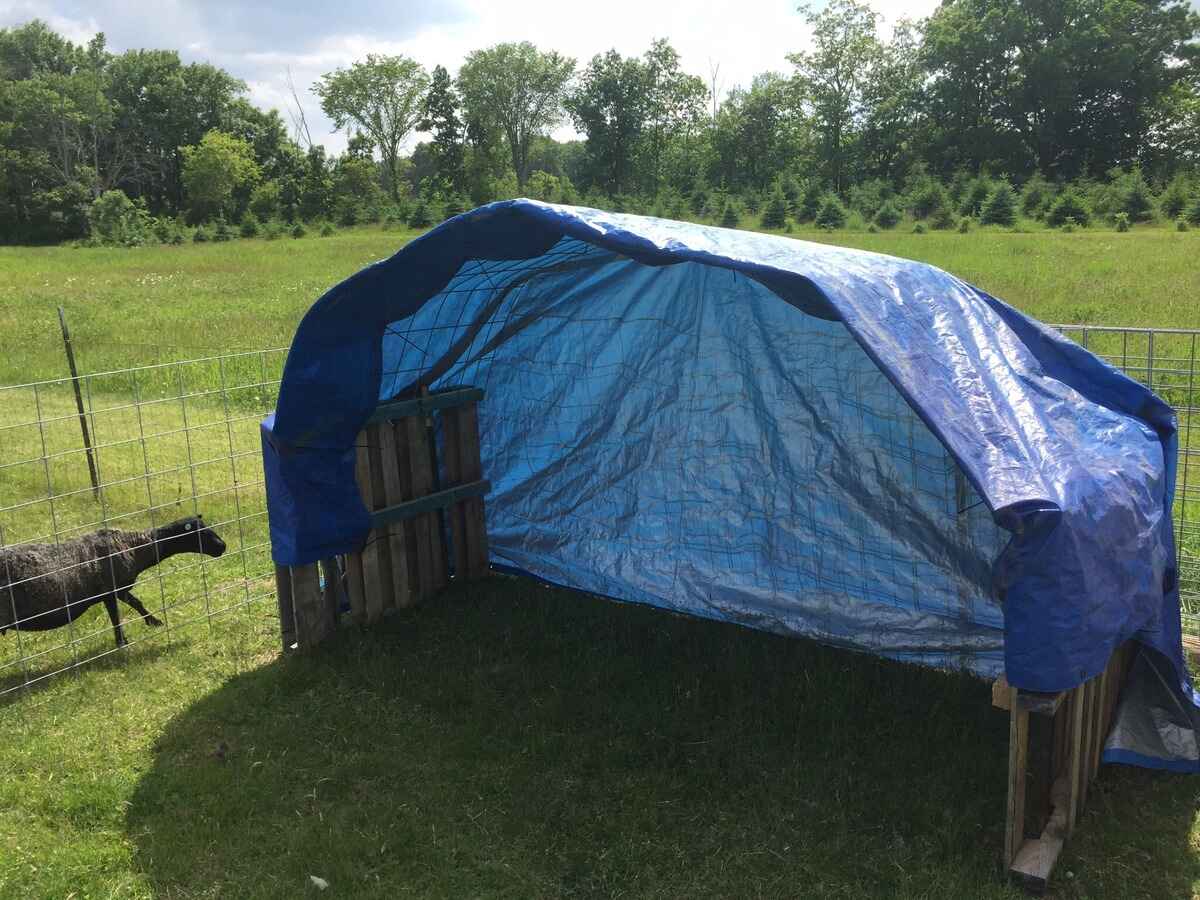 DIY Tarp Shed: Step-by-Step Guide To Building A Budget-Friendly Outdoor Storage Solution