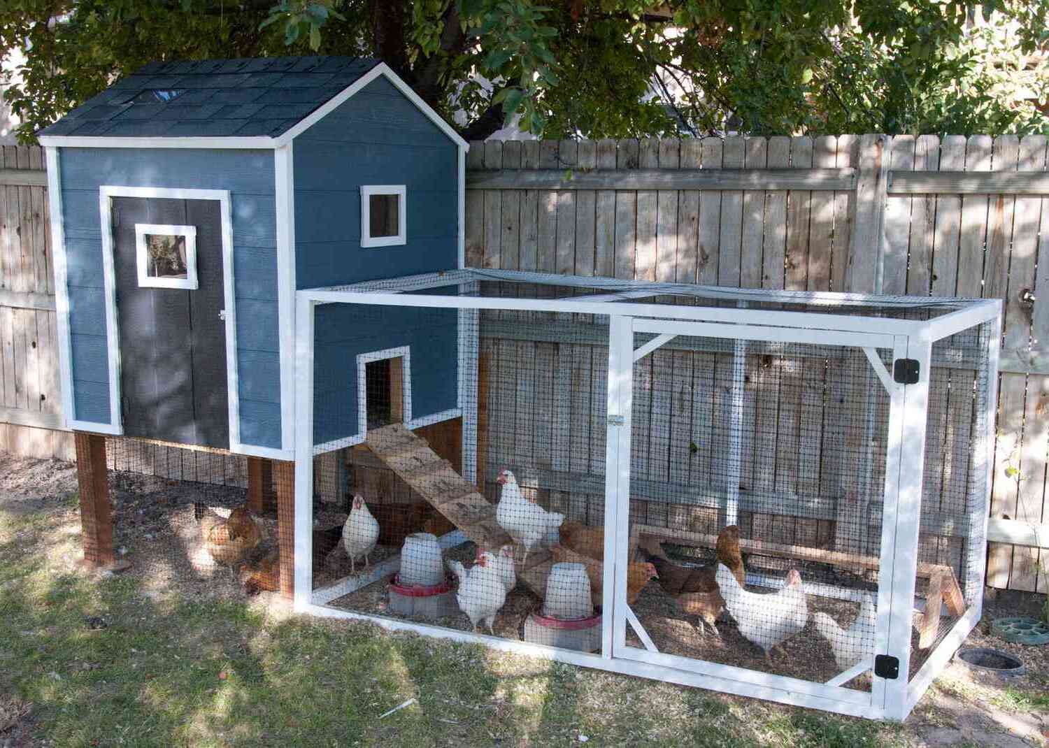 Easy Chicken Coop Plans: Build Your Own Coop With These Step-by-Step Instructions