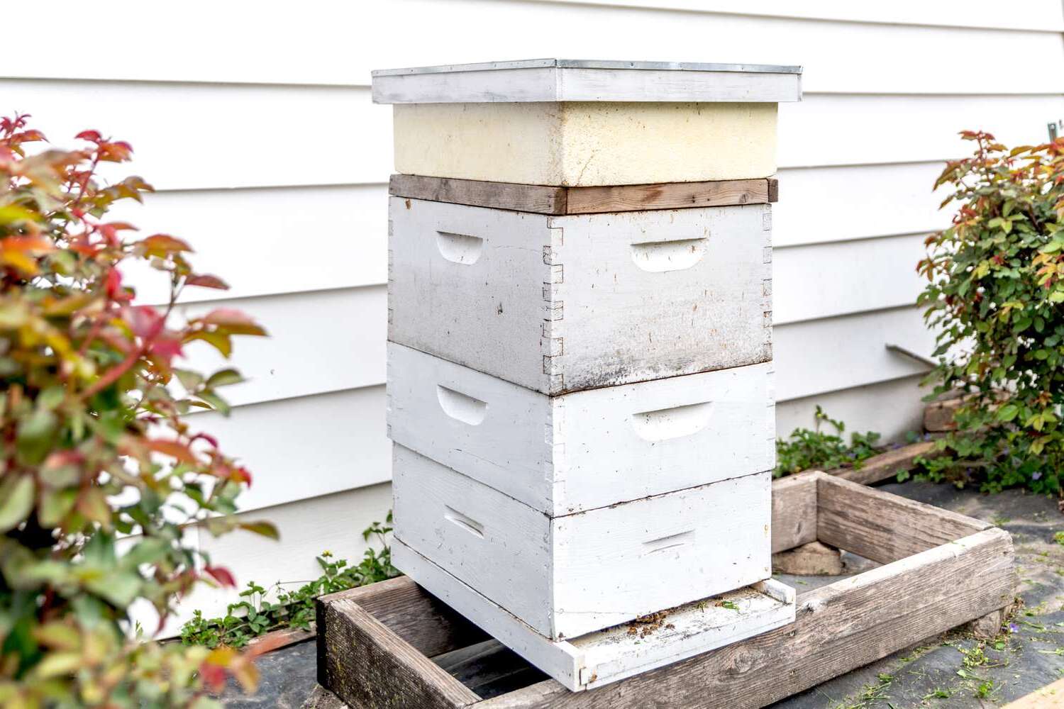 How To Build A Beehive