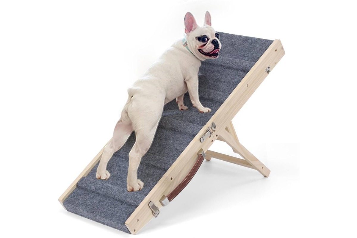 How To Build A Dog Ramp