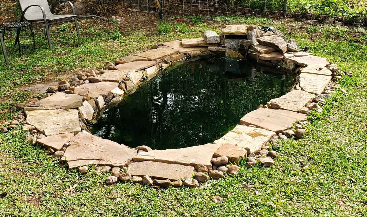 Dazzling DIY Duck Pond: Create A Beautiful Water Oasis For Your Feathered Friends