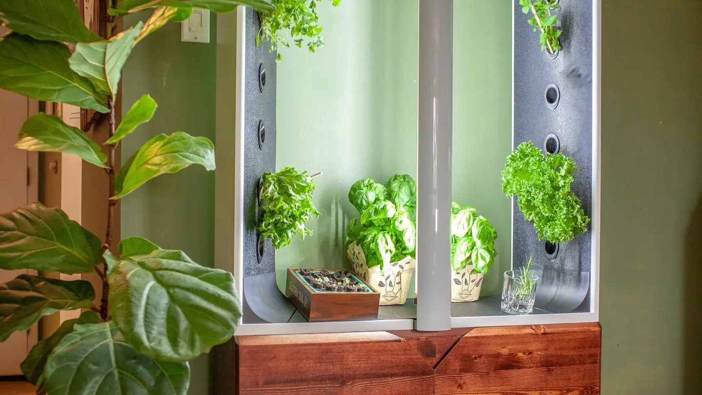 DIY Grow Tent: How To Create Your Own Indoor Garden