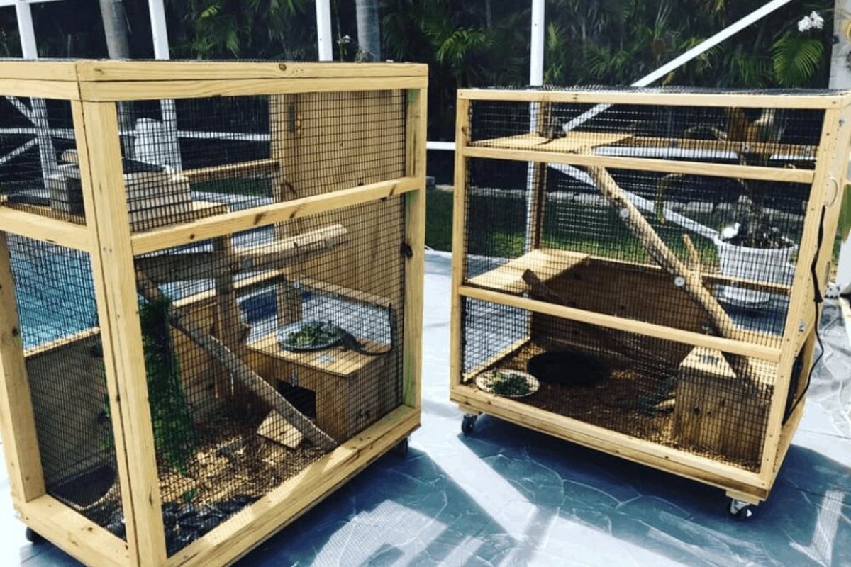 DIY Reptile Enclosure Furniture: Create A Custom Habitat For Your Reptilian Friend