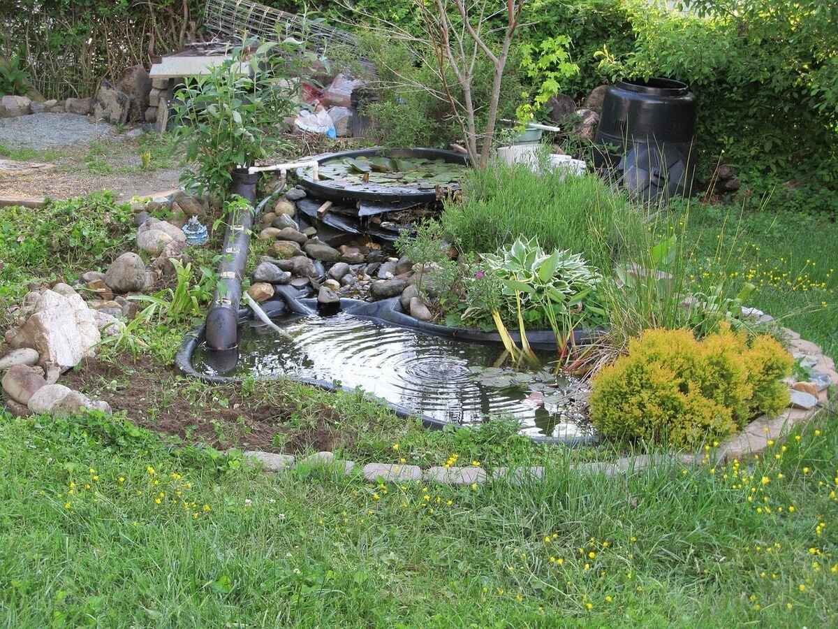 How To Build A Natural Pond