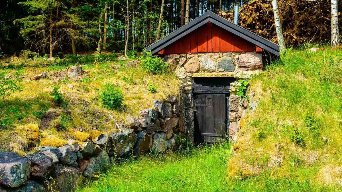 How To Build A Root Cellar In The South