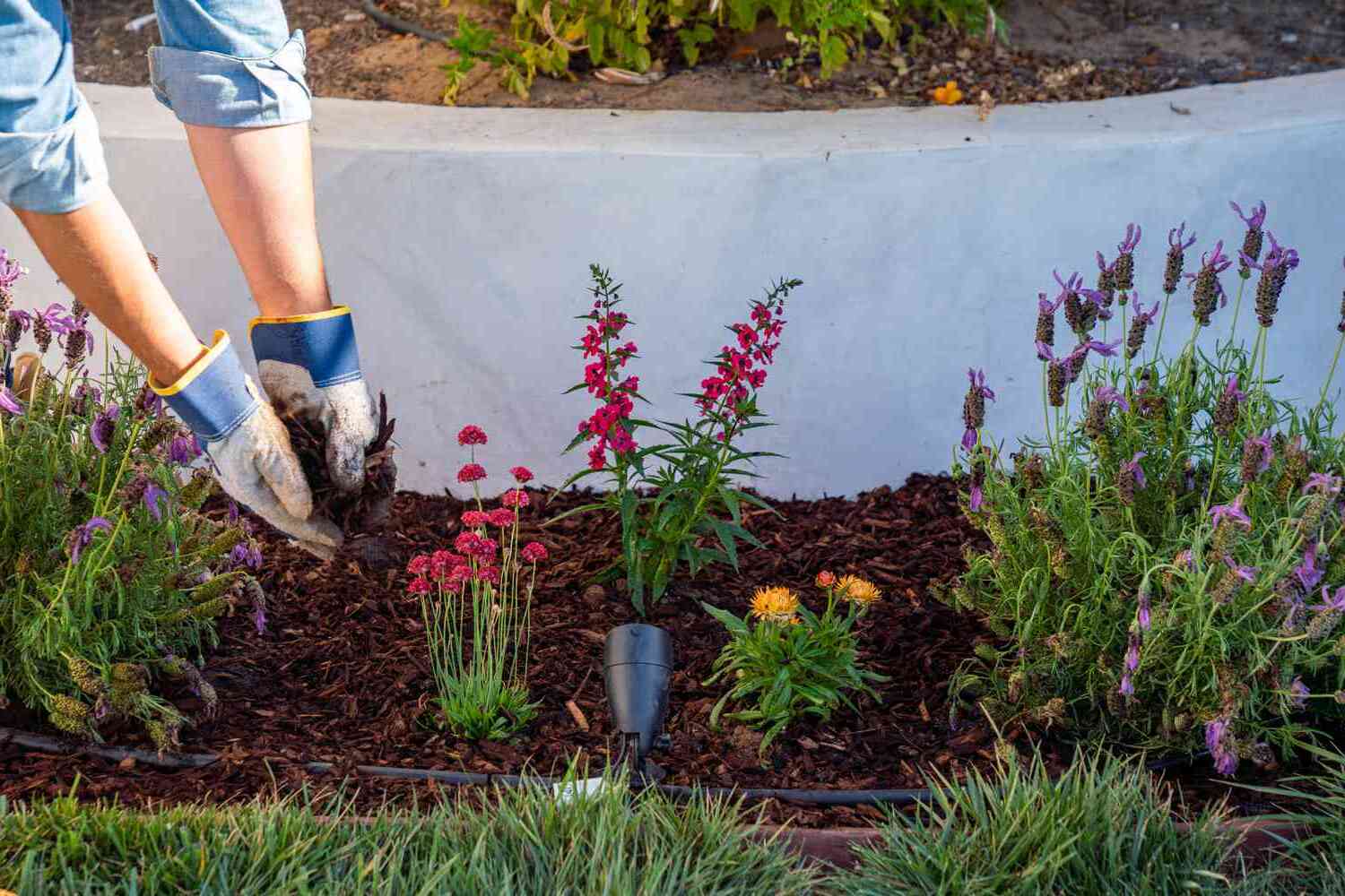 How To Make A Flower Bed