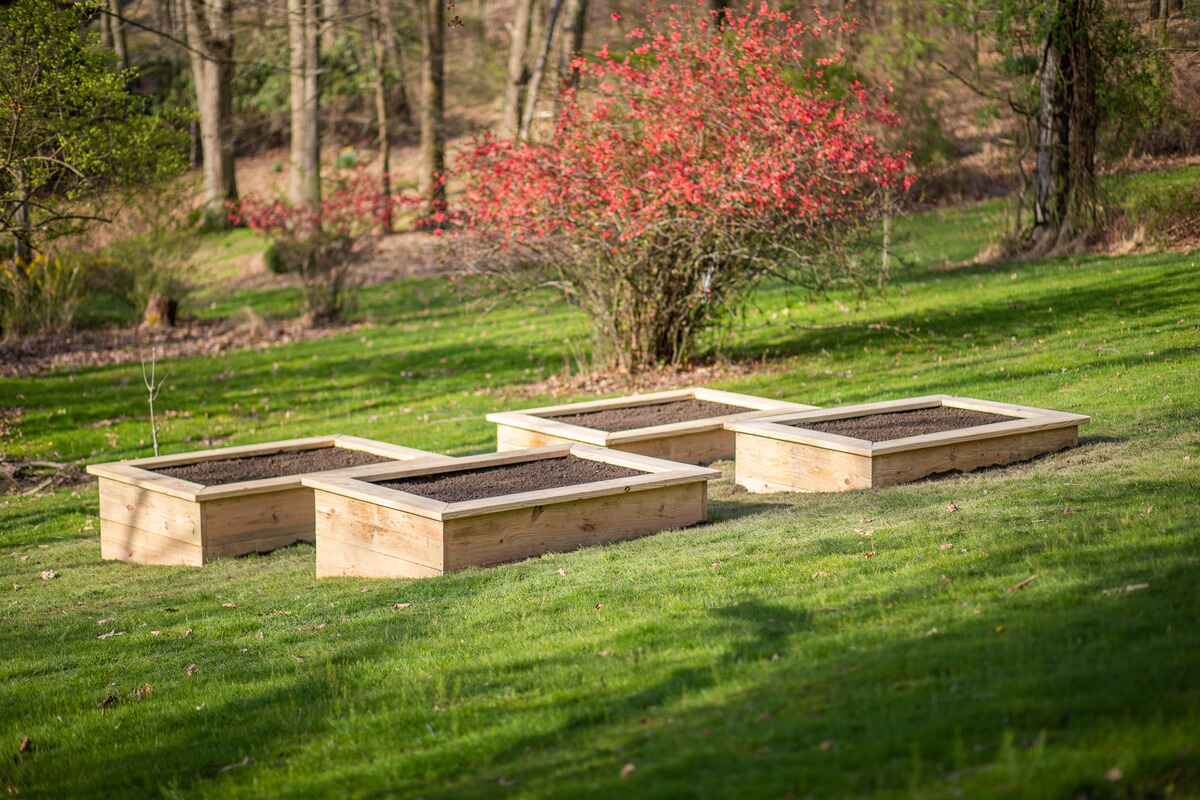 Sloped Garden DIY: How To Build Raised Beds On A Slope