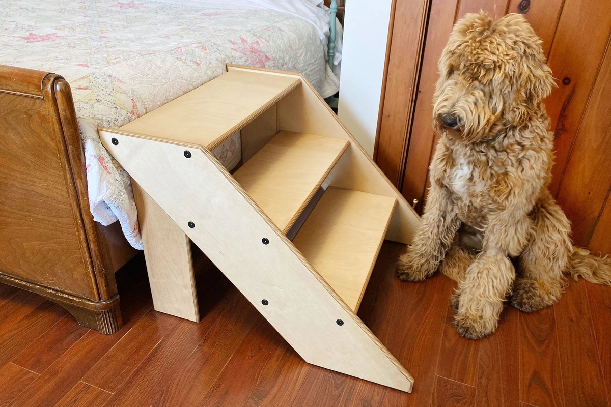 DIY Dog Stairs: Step-by-Step Guide To Building Your Own