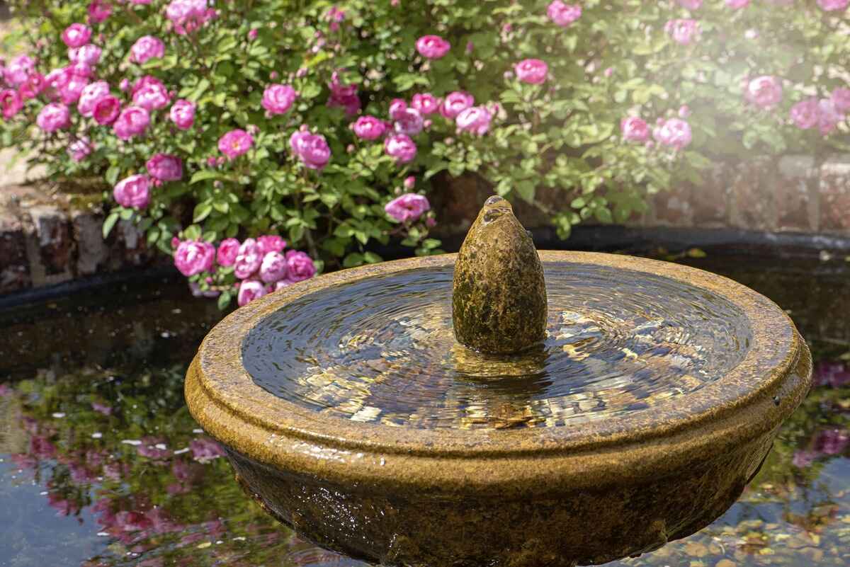 DIY Water Fountain: Create A Relaxing Oasis In Your Backyard