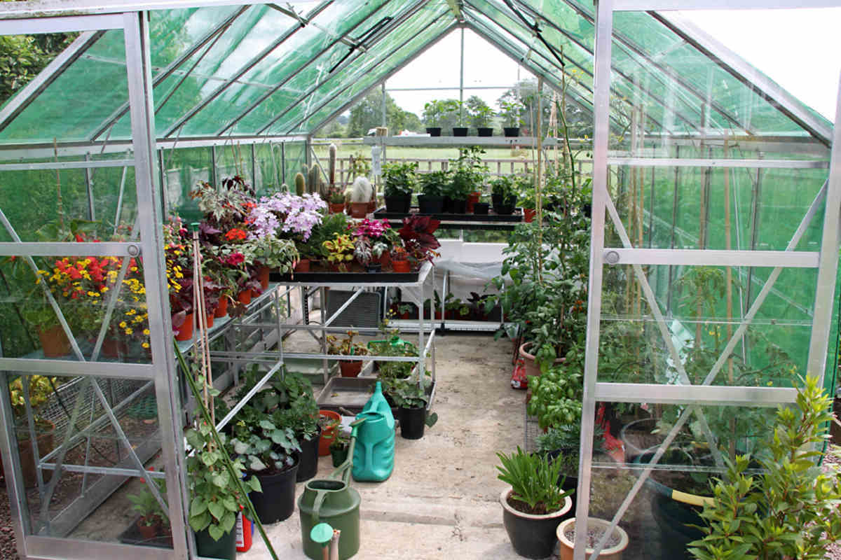 Winter DIY: Building A Greenhouse For Year-Round Gardening