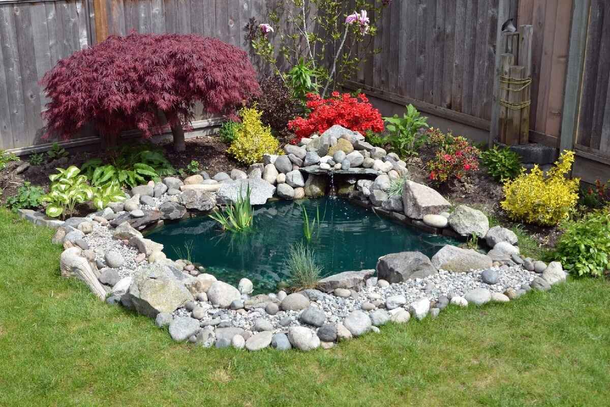 Backyard Pond DIY: Create Your Own Tranquil Oasis