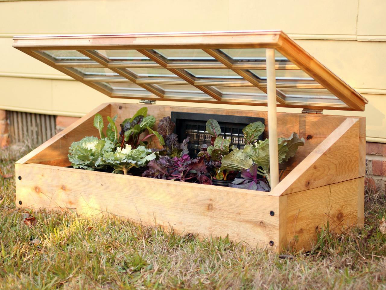 Cold Frame DIY: How To Build Your Own Garden Protection