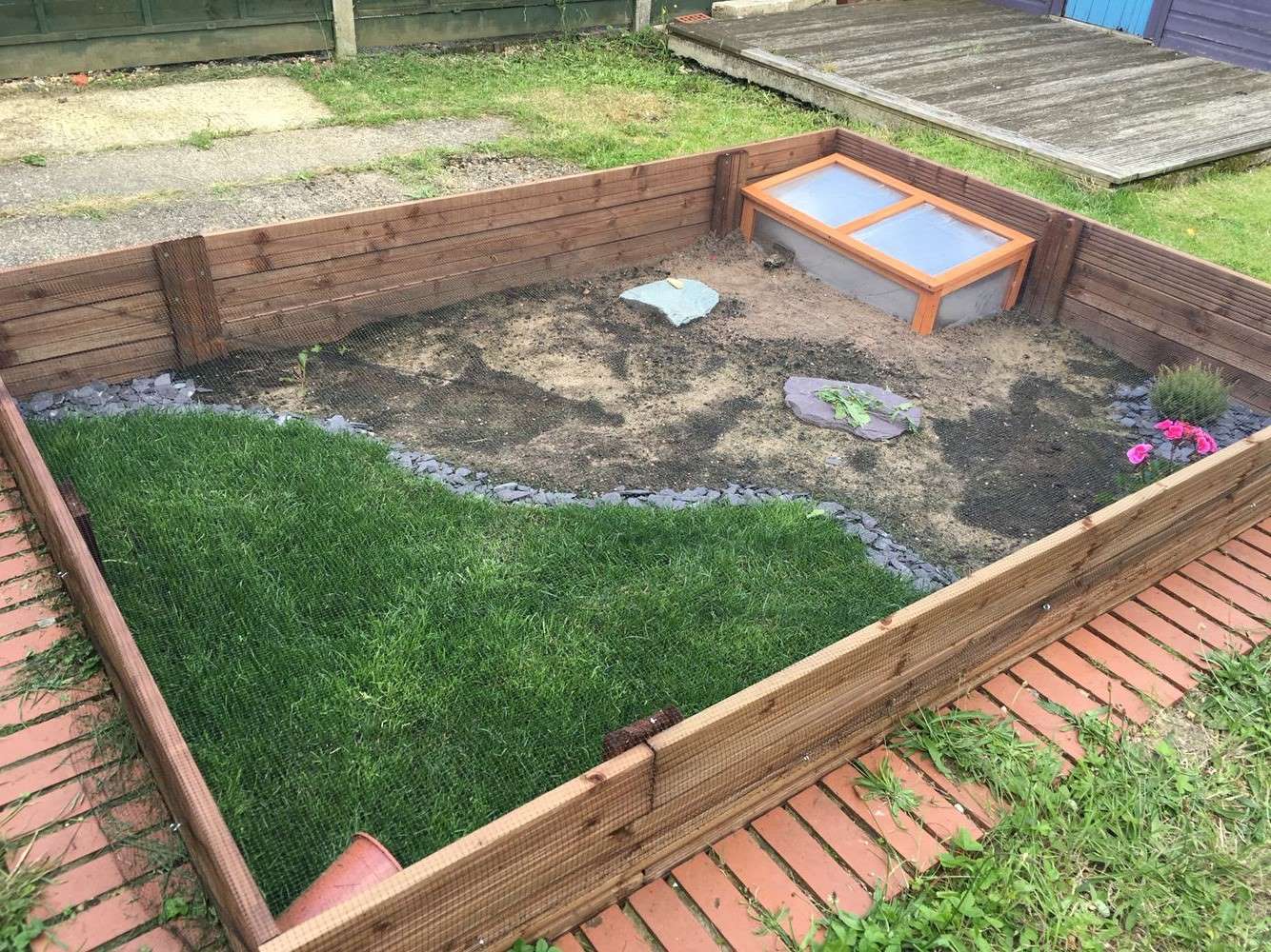 DIY Outdoor Tortoise Enclosure: Step-by-Step Guide