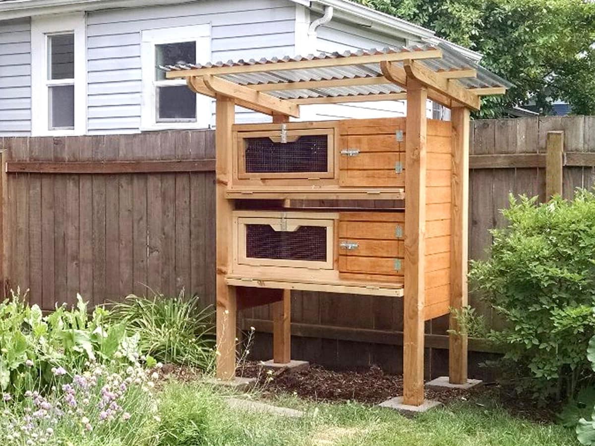 DIY Quail Cage: Step-by-Step Guide To Building Your Own