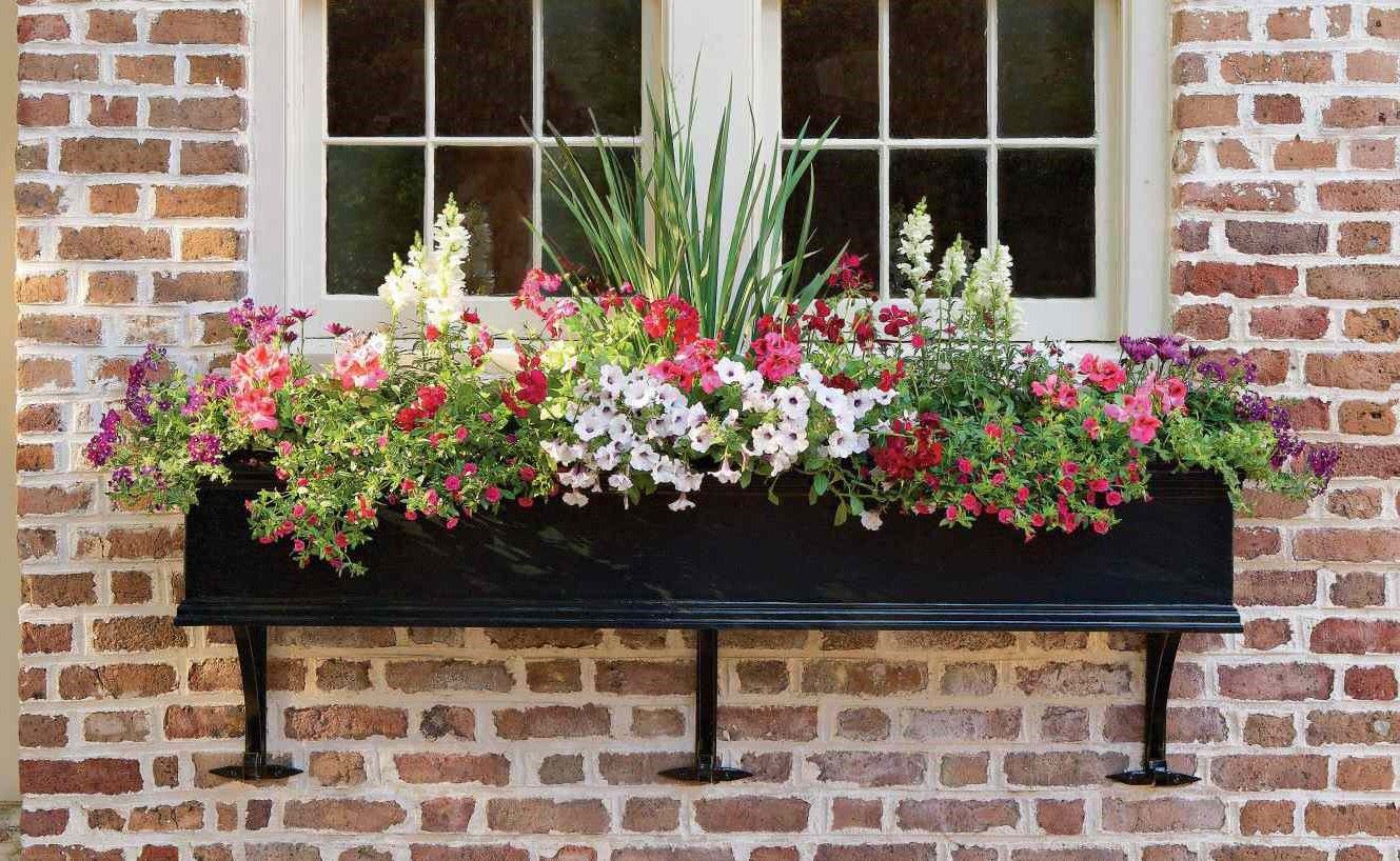 DIY Window Boxes: How To Create Beautiful Planters For Your Home