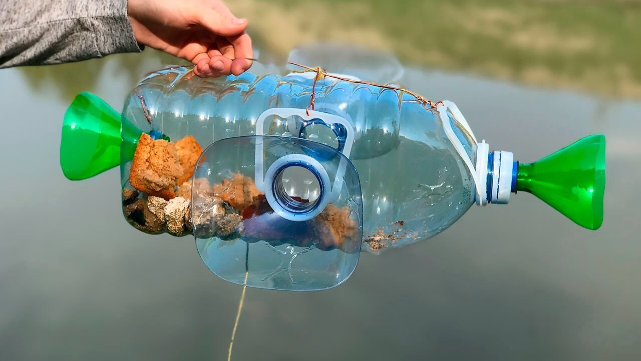 Fish Trap DIY: How To Make Your Own Effective Fishing Trap