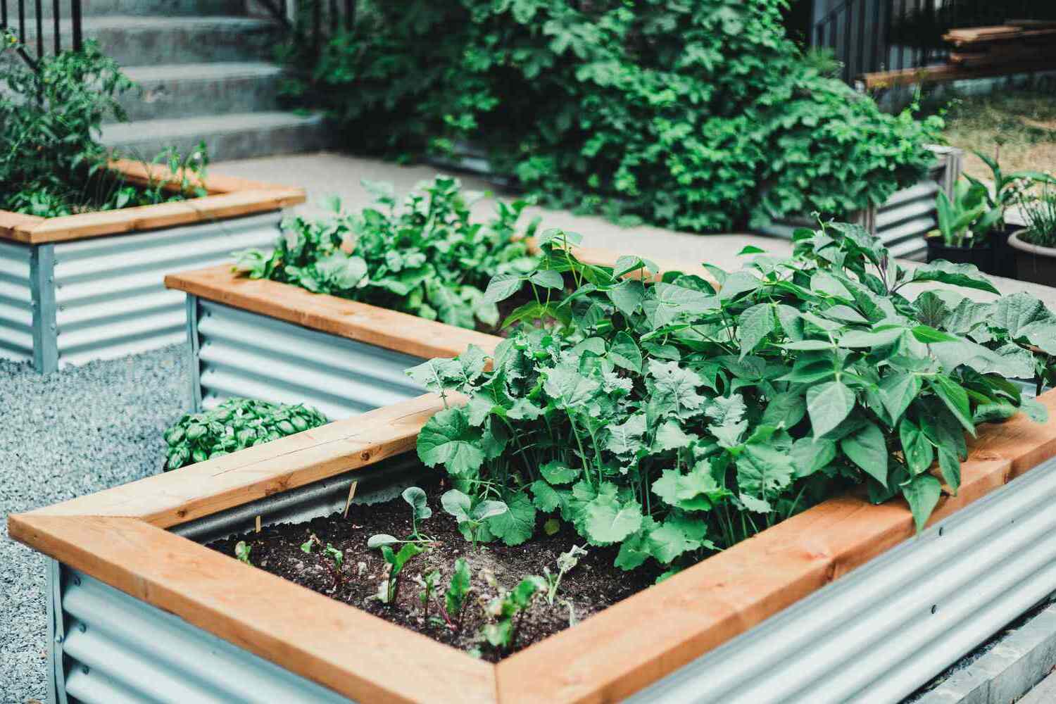 How To Build Raised Planter Boxes