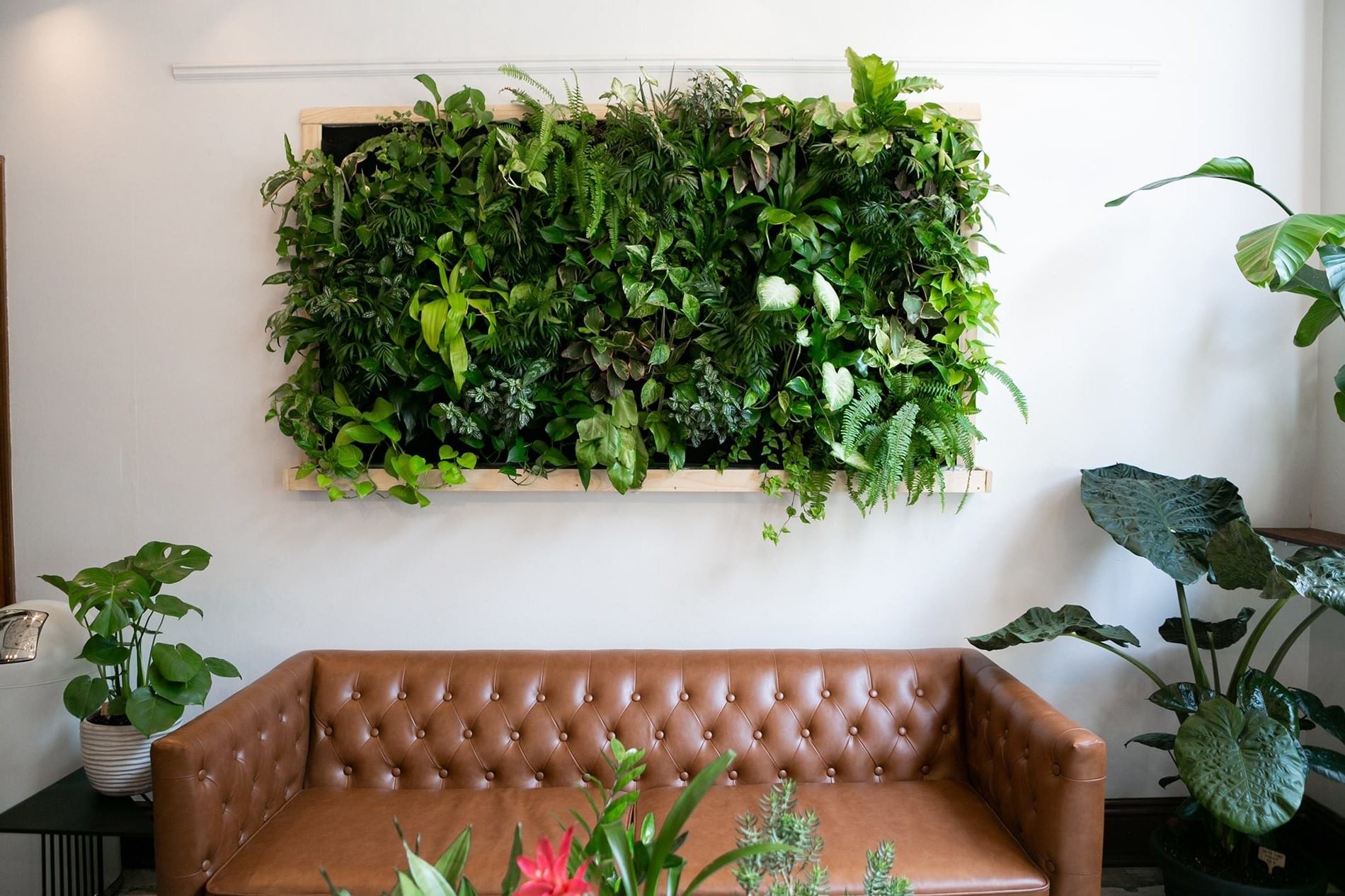 Living Wall DIY: How To Create Your Own Vertical Garden