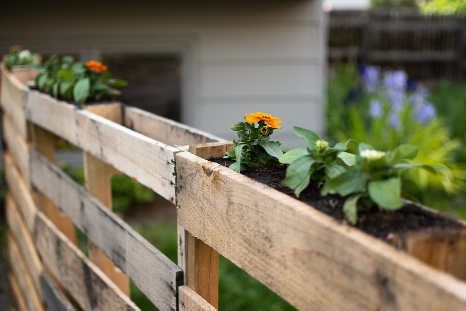 Pallet Fence: A DIY Guide To Creating A Rustic And Budget-Friendly Barrier