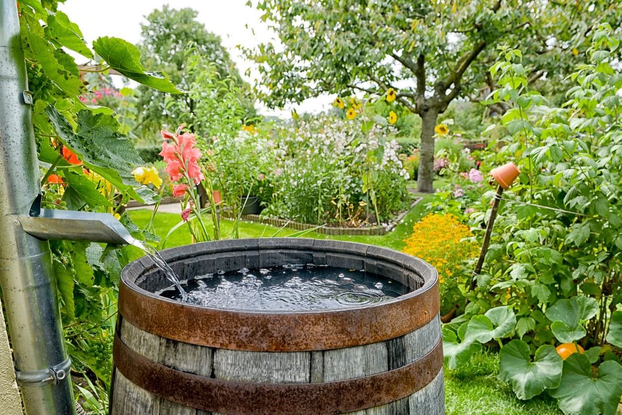 Rain Barrel System: A DIY Guide To Harvesting And Conserving Rainwater