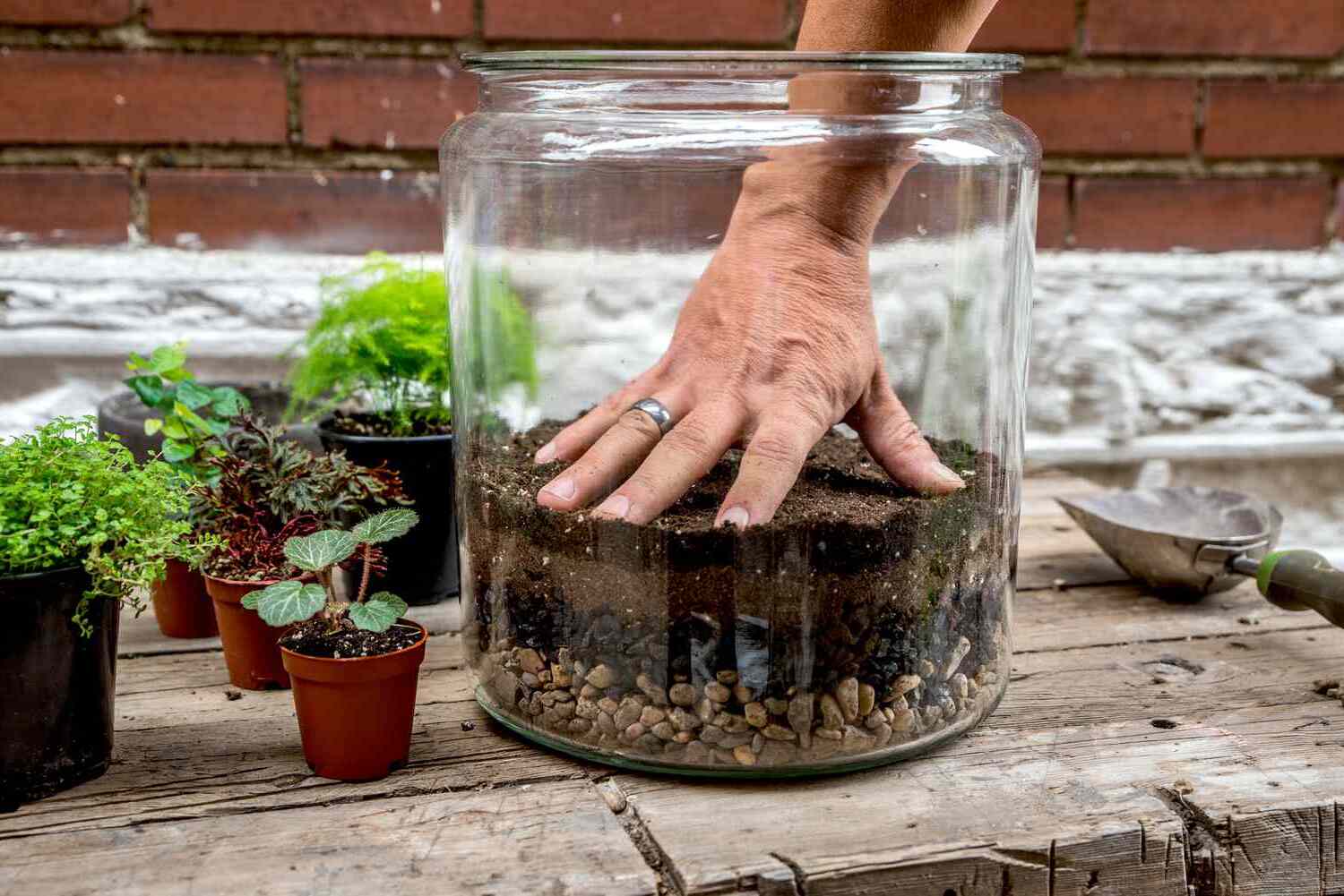 Terrarium DIY: How To Create Your Own Miniature Garden