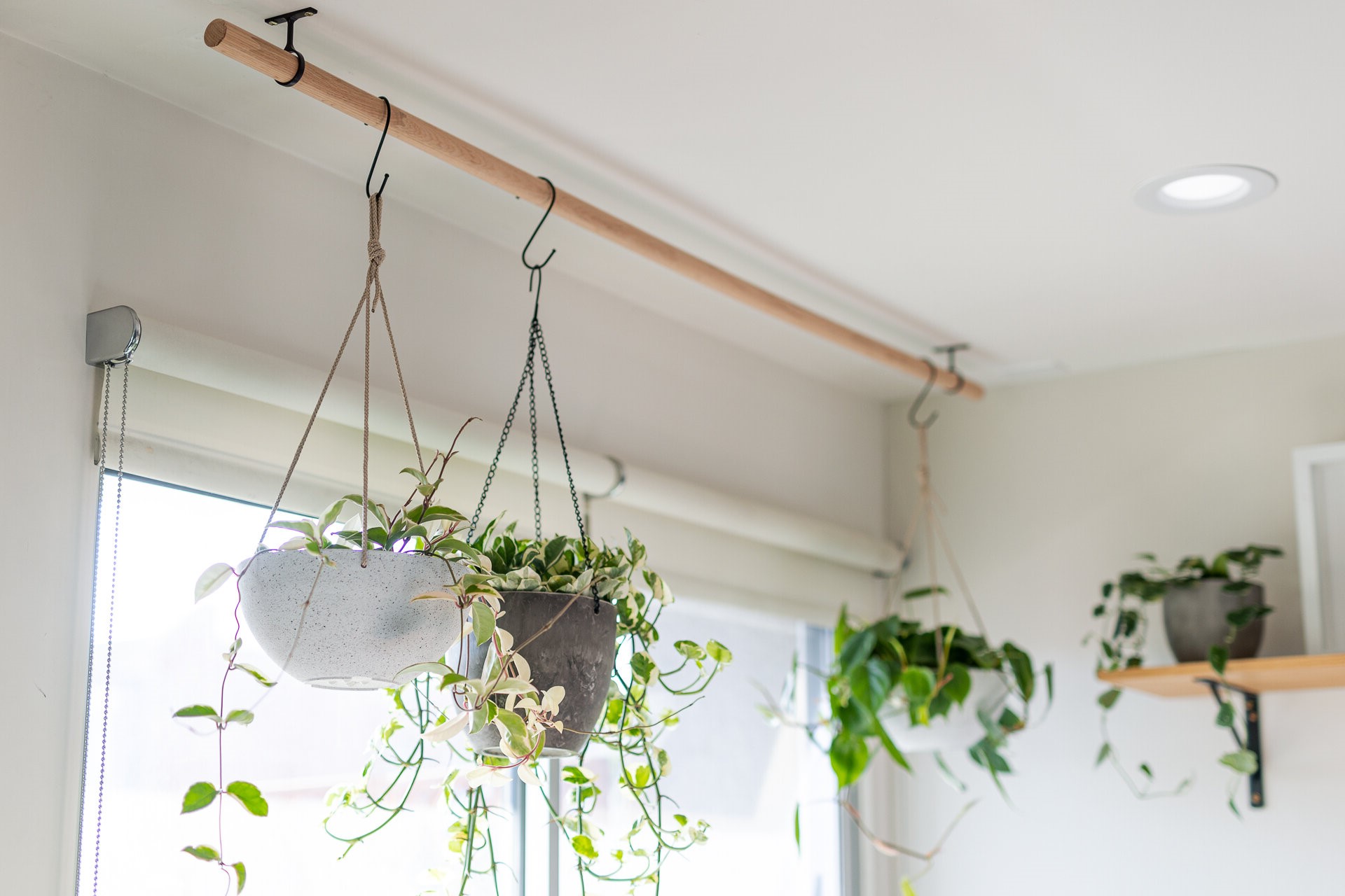 DIY Window Plant Hanger Guide