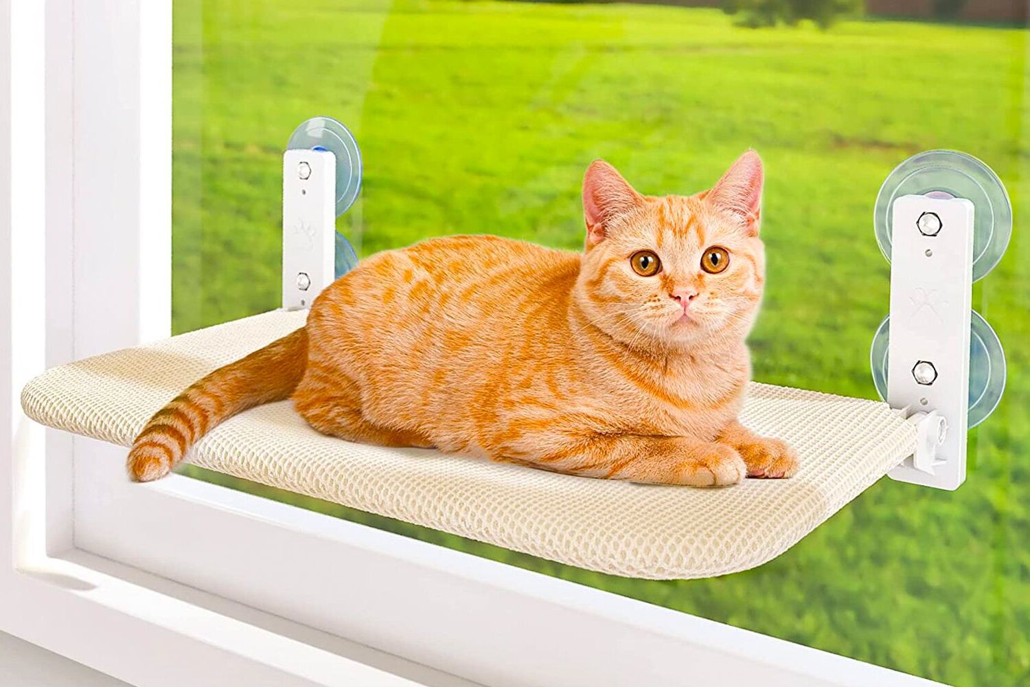 How to Build a DIY Cat Window Perch