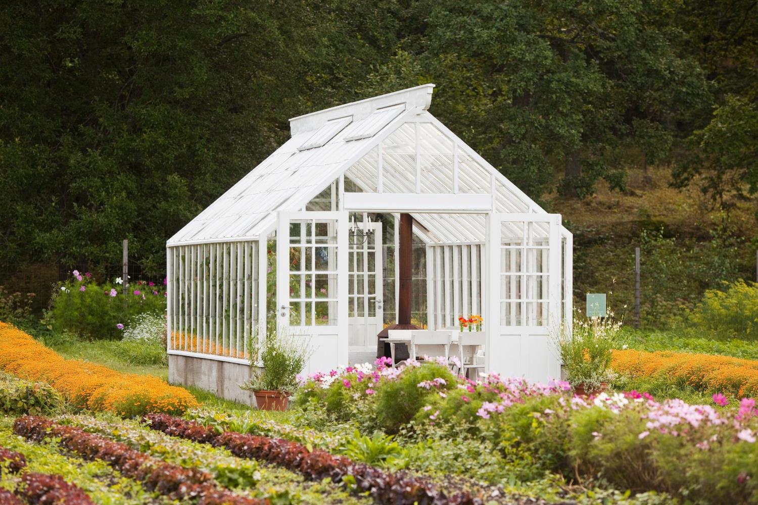 How to Build a Homemade Old Window Greenhouse