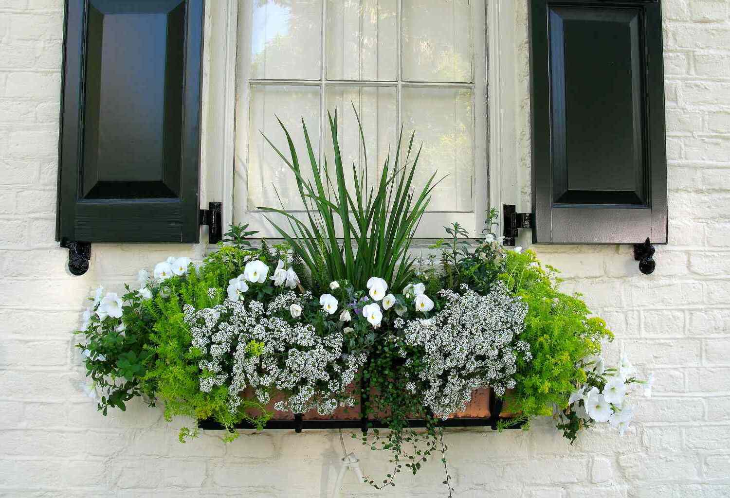 How to Make Self-Watering Window Boxes