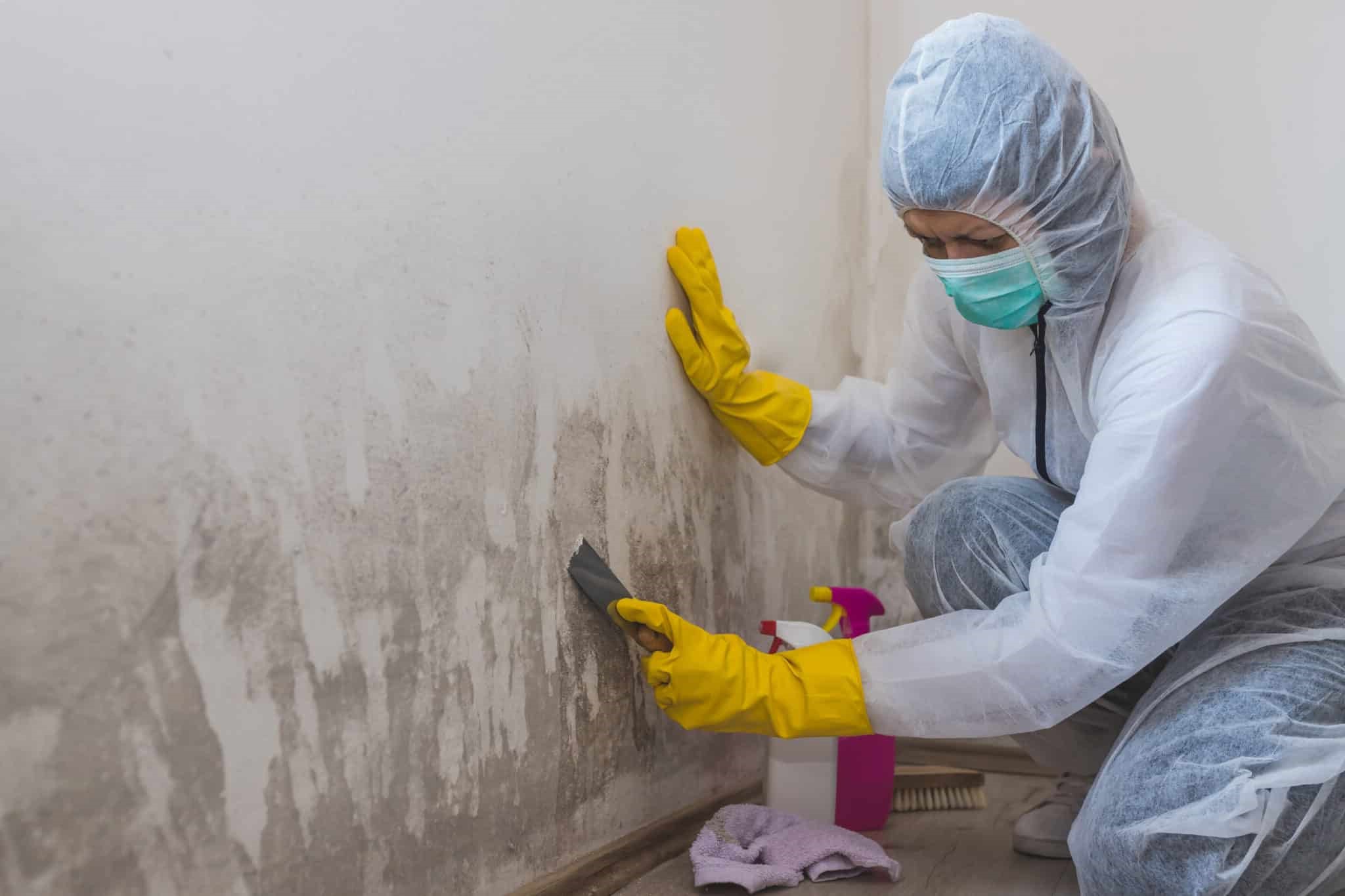 DIY Guide to Basement Mold Remediation