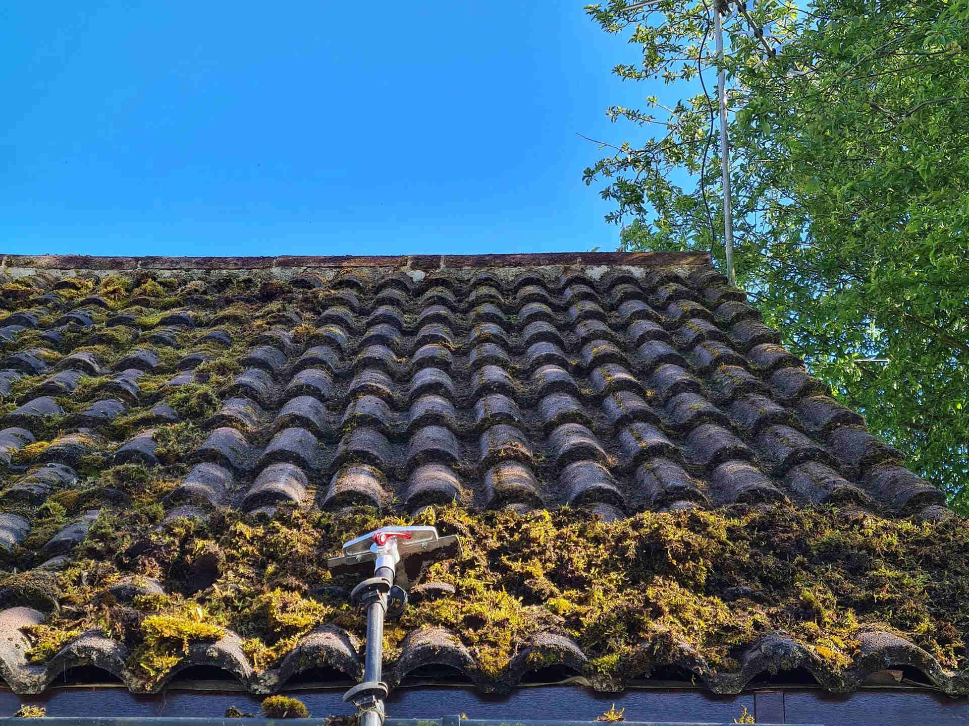 DIY Roof Moss Killer Guide