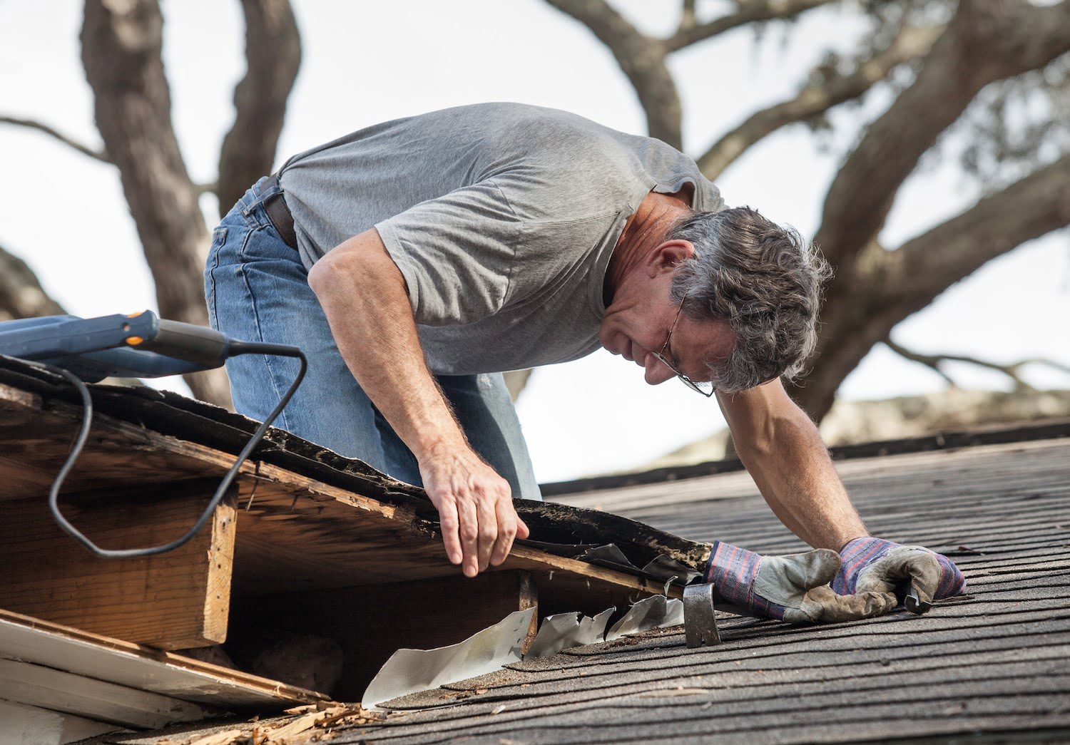 DIY Roof Repair Guide | Twigandthistle