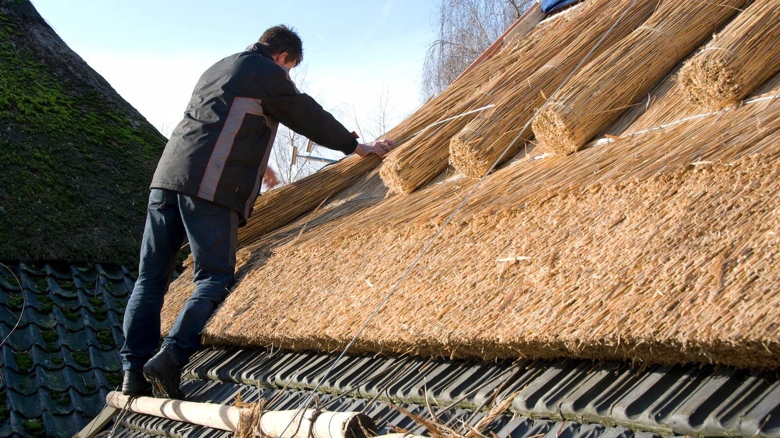 DIY Thatched Roof Guide