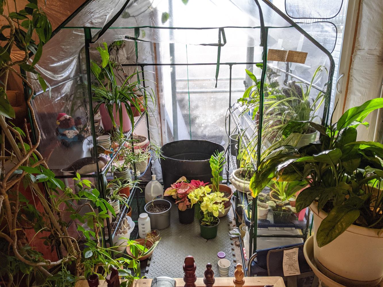 How to Build a Basement Greenhouse